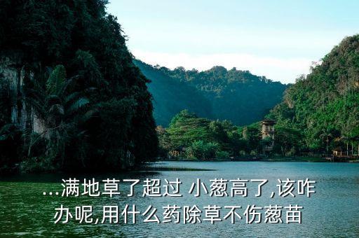 小蔥種植用什么農藥好,小蔥的種植技巧與管理方法
