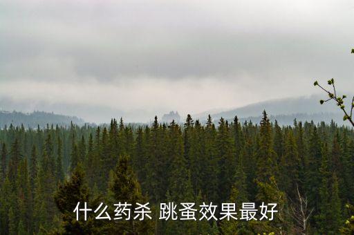 什么藥殺 跳蚤效果最好
