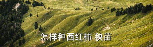 秧苗最怕什么農(nóng)藥殘留,水稻田最怕什么農(nóng)藥殘留