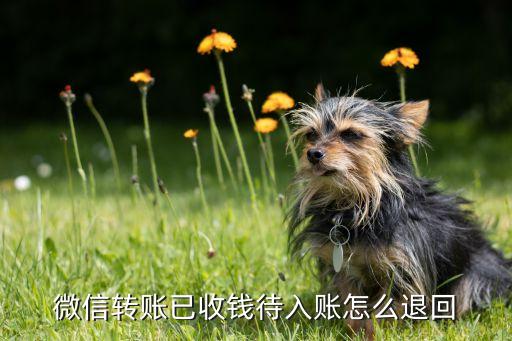 錐栗打什么農藥藥效長