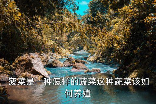 菠菜噴灑什么農藥保鮮,菠菜生蟲噴灑什么農藥