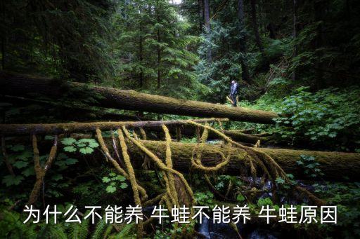 為什么不能養 牛蛙不能養 牛蛙原因
