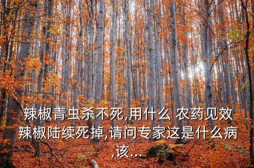  辣椒青蟲殺不死,用什么 農藥見效 辣椒陸續死掉,請問專家這是什么病,該...
