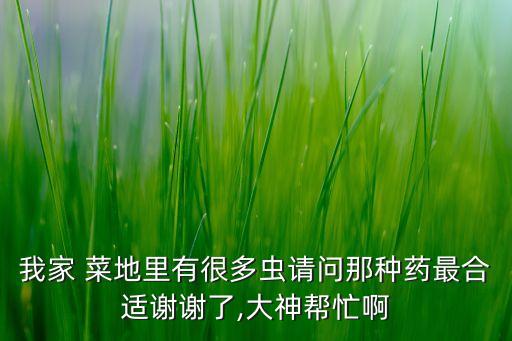 菜地適合噴什么農藥好,菜地殺蟲用什么農藥