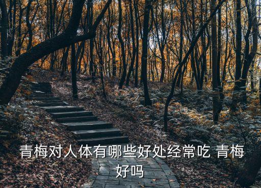  青梅對(duì)人體有哪些好處經(jīng)常吃 青梅好嗎