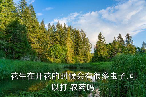 花生卷葉蟲噴什么農藥