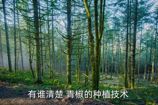 青椒爛葉用什么農(nóng)藥,青椒打什么農(nóng)藥產(chǎn)量多呢