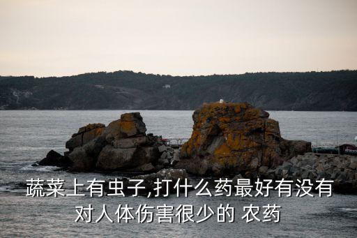 蔬菜長蟲了打什么農藥最好,什么蔬菜一般不打農藥