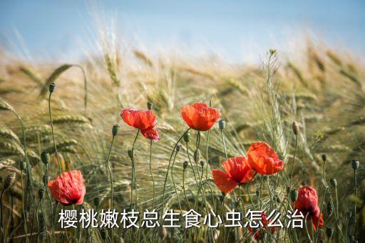 果樹實心蟲用什么農藥防治,果樹蚜蟲用什么農藥