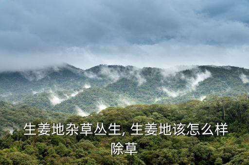 生姜栽培用什么農藥,生姜用什么農藥防治最好