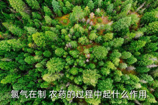 氯氣在制 農(nóng)藥的過程中起什么作用