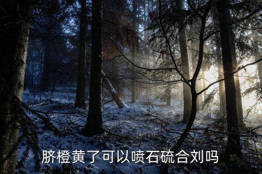 臍橙春季用什么農(nóng)藥,臍橙樹春季施肥