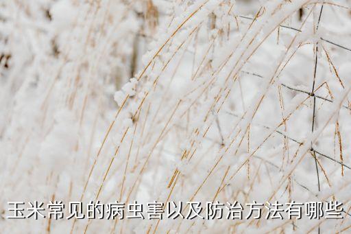 什么農藥能殺死藻斑病,蝸牛用什么農藥可以殺死
