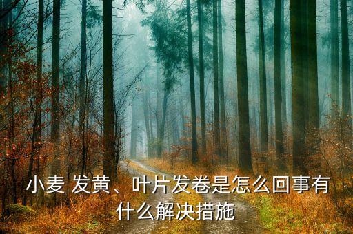 小麥葉發(fā)黃用什么農(nóng)藥,小麥為什么發(fā)黃?用什么治?