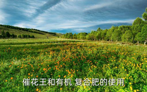 含復(fù)合肥的農(nóng)藥是什么,復(fù)合肥含中氯是什么意思