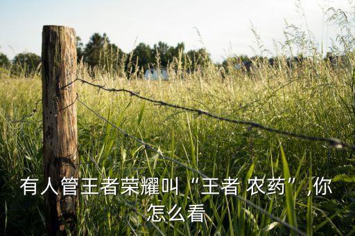 有人管王者榮耀叫“王者 農(nóng)藥”,你怎么看