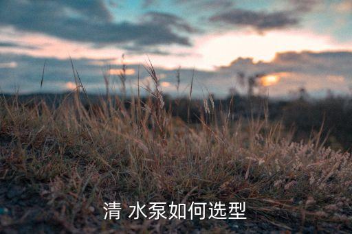 噴農(nóng)藥什么水泵最合適