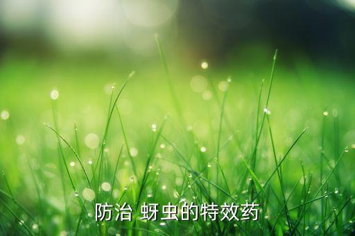 什么農(nóng)藥殺蚜蟲好,不用農(nóng)藥殺蚜蟲的方法