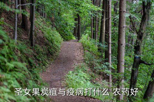 采摘小西紅柿用什么農藥,小西紅柿一股農藥味
