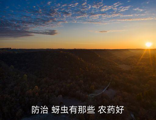 紅蚜蟲用什么農藥,蚜蟲打什么農藥最好