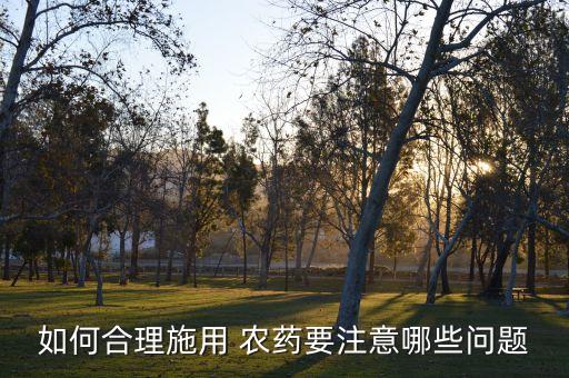 農(nóng)藥使用時要注意什么,過氧化氫使用時應注意什么