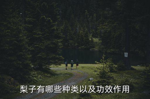 梨子有哪些種類以及功效作用