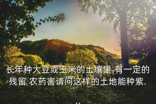 長年種大豆或玉米的土壤里,有一定的殘留 農藥害請問這樣的土地能種紫...