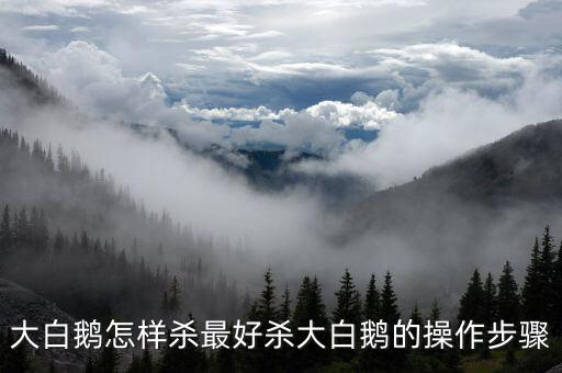 用什么農藥把鵝殺死了,什么農藥能大量殺死蒼蠅