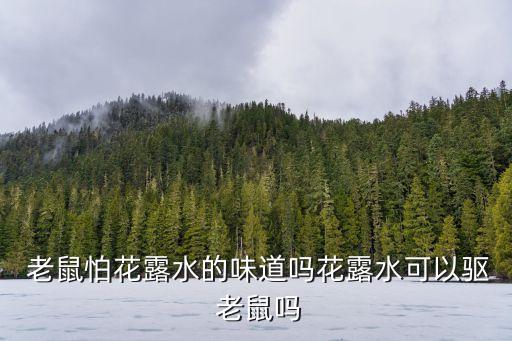 老鼠怕什么氣味農藥,果實蠅最怕什么農藥的氣味