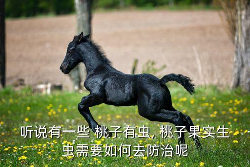 聽說有一些 桃子有蟲, 桃子果實(shí)生蟲需要如何去防治呢