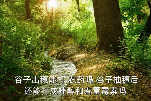軟谷子打什么農藥最好