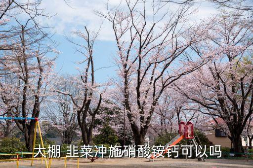 大棚韭菜打什么農藥好使