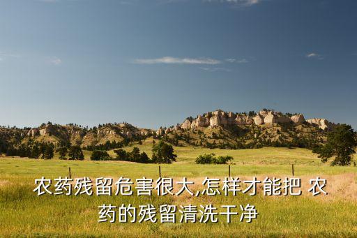  農(nóng)藥殘留危害很大,怎樣才能把 農(nóng)藥的殘留清洗干凈