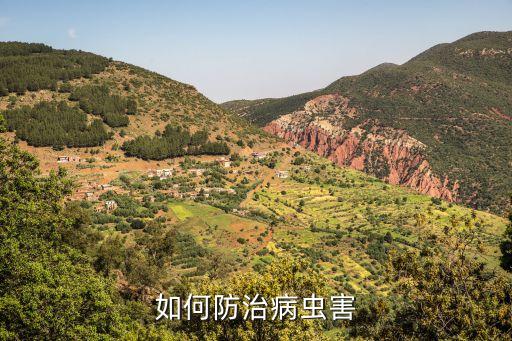 如何防治病蟲害