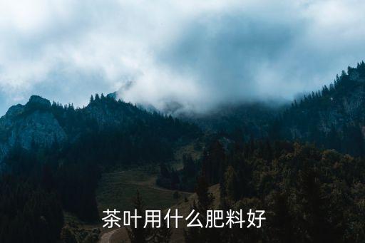 茶葉現在施什么農藥,如何辨別茶葉施了農藥