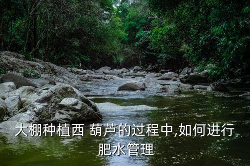 大棚種植西 葫蘆的過程中,如何進(jìn)行 肥水管理