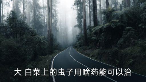 大 白菜上的蟲子用啥藥能可以治