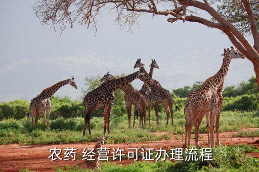  農藥 經營許可證辦理流程