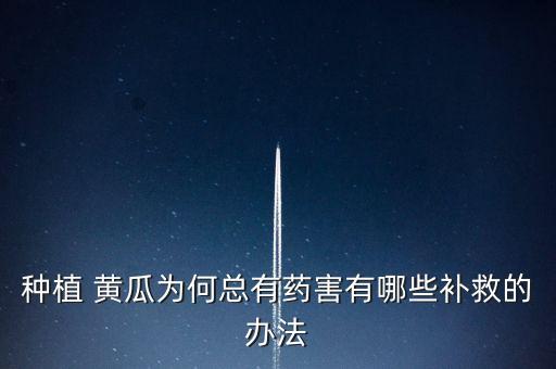 種植 黃瓜為何總有藥害有哪些補救的辦法