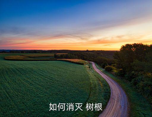 如何消滅 樹根