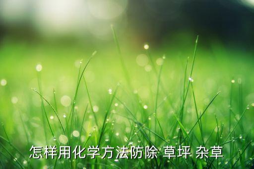 草坪有雜草打什么農藥,什么草坪不易長雜草