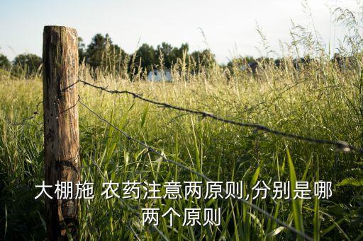  大棚施 農藥注意兩原則,分別是哪兩個原則