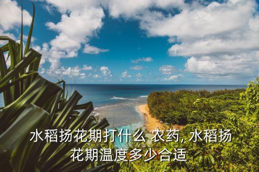 當(dāng)前水稻打什么農(nóng)藥好用,什么農(nóng)藥對(duì)水稻傷害最大
