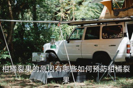 柑橘裂果的原因有哪些如何預(yù)防柑橘裂果