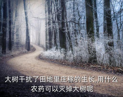 大樹干擾了田地里莊稼的生長(zhǎng),用什么 農(nóng)藥可以滅掉大樹呢