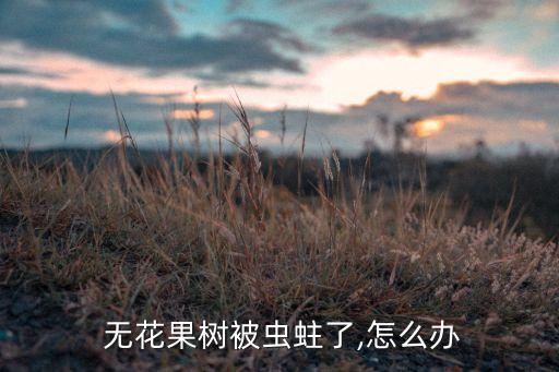無花果根瘤用什么農藥,根瘤病用什么農藥治