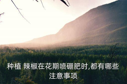 種植 辣椒在花期噴硼肥時(shí),都有哪些注意事項(xiàng)