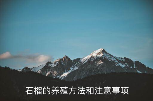 石榴需用什么農(nóng)藥化肥