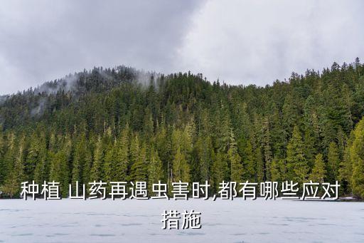 種植 山藥再遇蟲害時,都有哪些應對措施