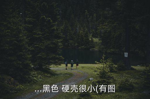 硬殼害蟲用什么農(nóng)藥,什么農(nóng)藥防治地下害蟲
